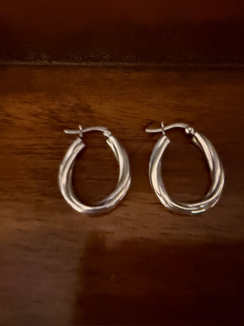 Classic Twisted Hoop Earrings - Silver